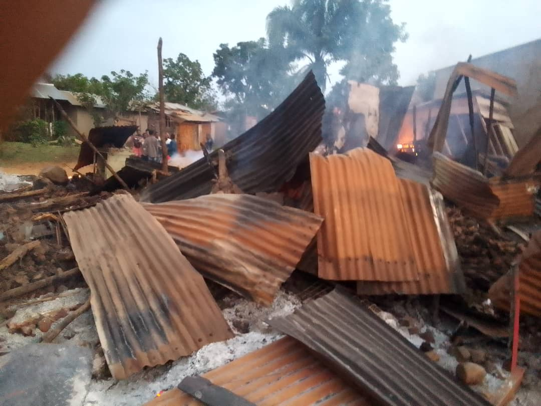 IMG_202507209_104352555