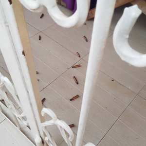 IMG_202508224_101128760