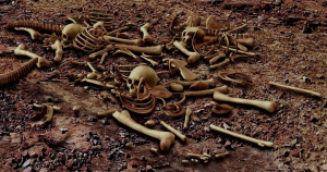 IMG_202508224_150036949