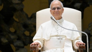 IMG_202508226_111416245