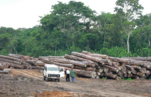 IMG_202508228_131242588