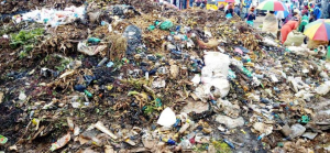 IMG_202508228_131624193