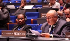 IMG_202511333_194536988