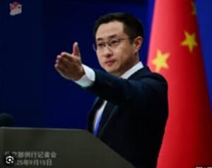 IMG_202511333_201311669