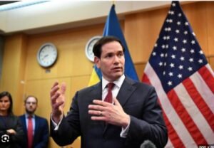 IMG_202511333_202212094