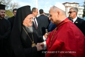 IMG_202511333_202531344