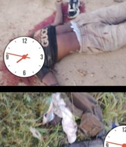 IMG_202512343_003425218