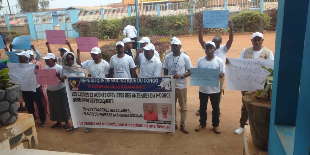 IMG_202512343_004537539