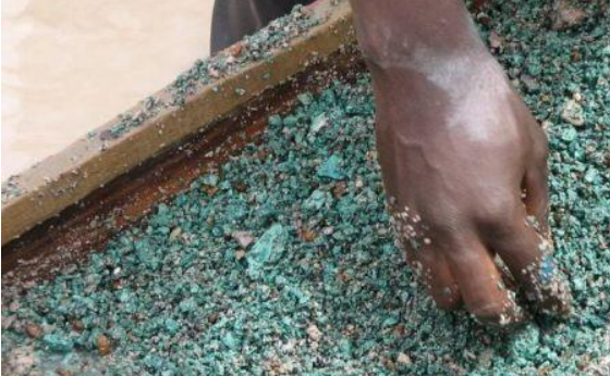 IMG_202512344_095028506