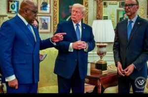 IMG_202512348_080019501