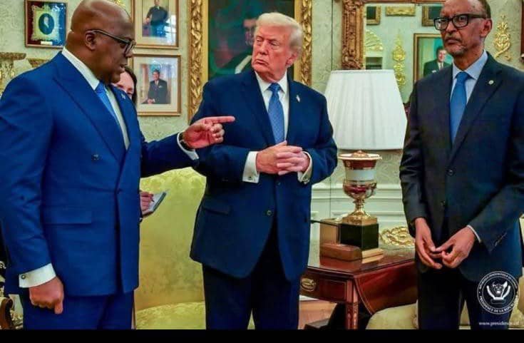 IMG_202512348_080019501