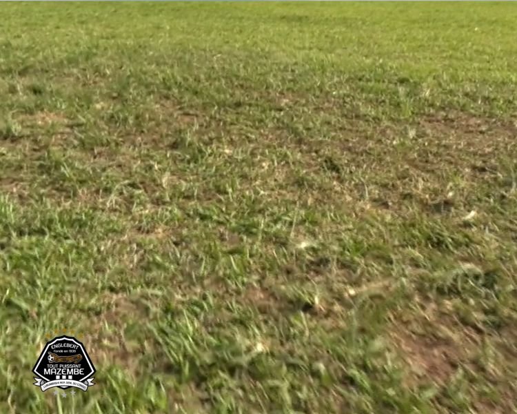 IMG_202512348_093310333