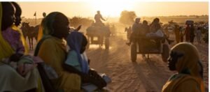 IMG_202512348_85627782