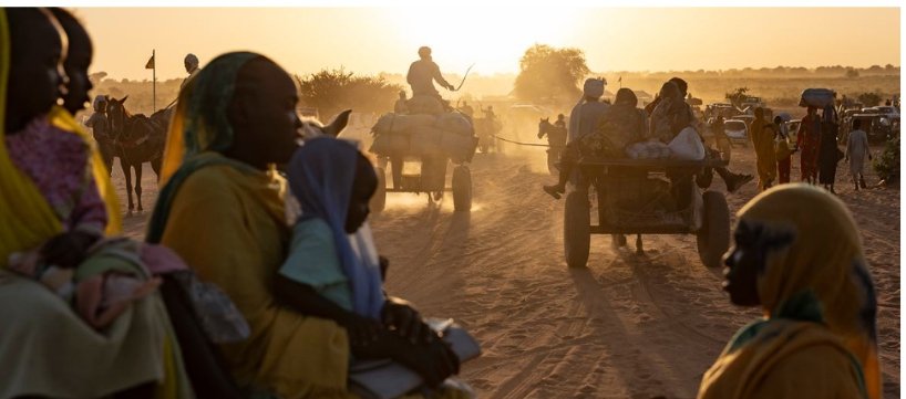 IMG_202512348_85627782