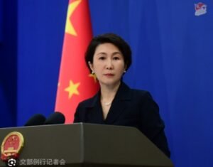 IMG_202512348_92915844