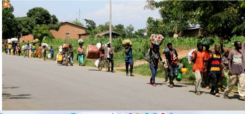 IMG_202512351_111738712