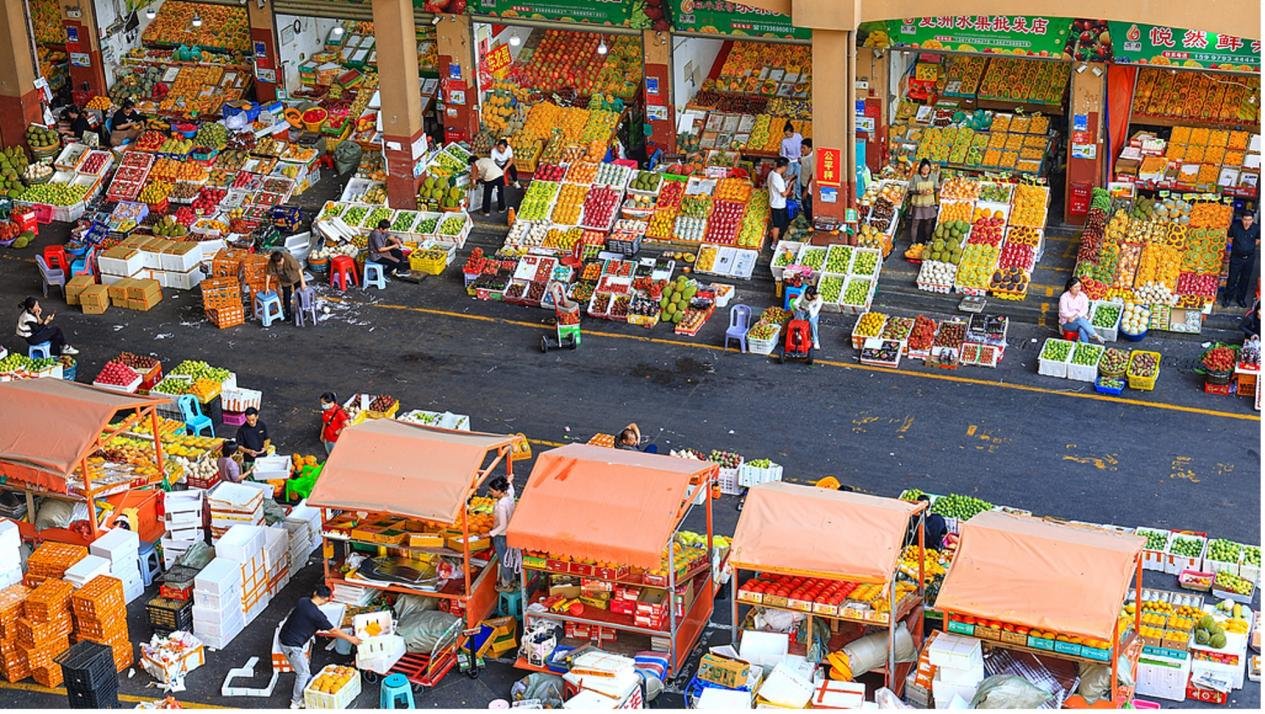 IMG_202512352_113739385