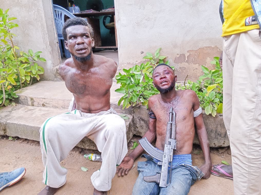 IMG_202512353_015216107