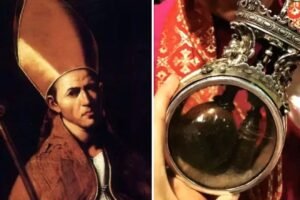 IMG_202512353_022018200