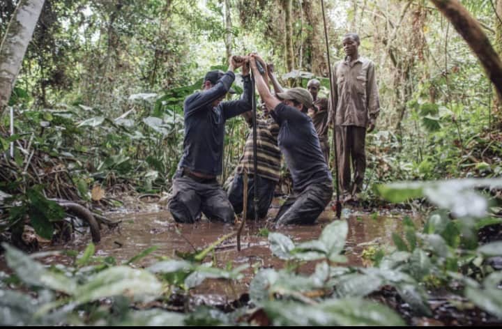 IMG_202512353_232636981