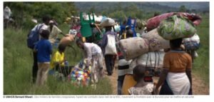 IMG_202512354_234502429