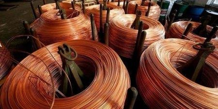 IMG_202512364_070406433