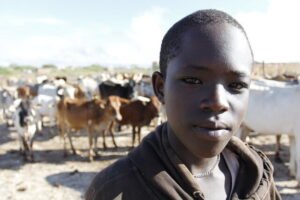 IMG_20260101_225658566