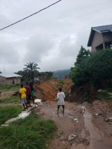 IMG_20260116_093503781