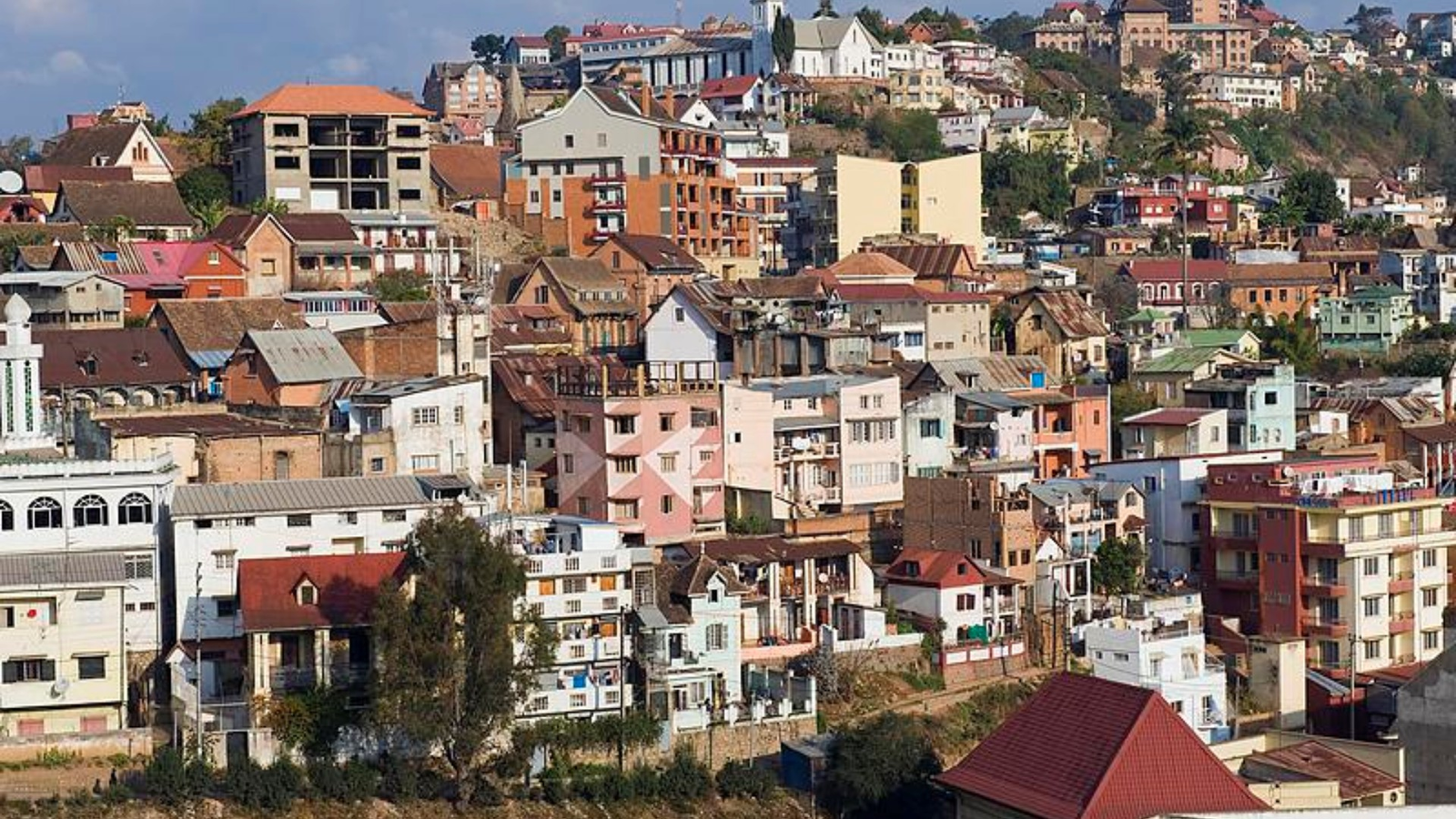 IMG_20260119_092459429