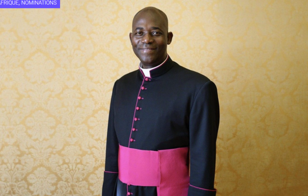 IMG_20260232_201217629