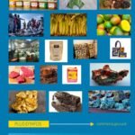 Julien Paluku salue le renouvellement de l’AGOA par le Congrès américain