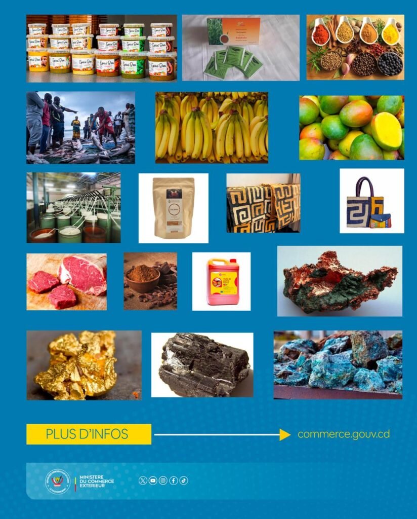 IMG_20260235_144519275