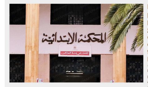 IMG_20260239_10732805