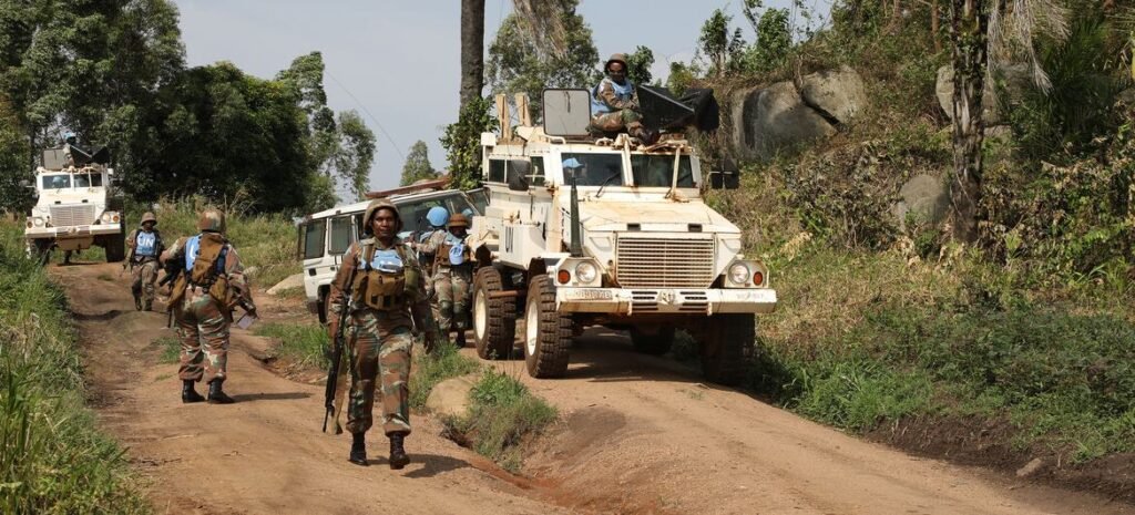 IMG_20260241_142356335