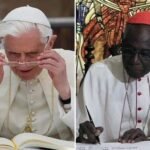 Ordination des hommes mariés: Analyse du livre du Cardinal Sarah et de Benoît XVI « Des profondeurs de nos cœurs ». Quelle est ma position?