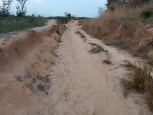 IMG_20260243_112718391