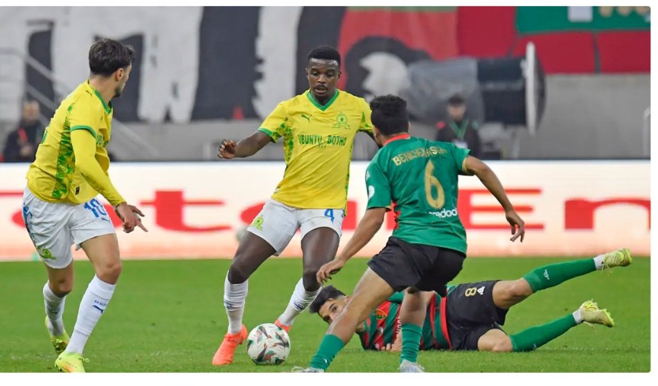 IMG_20260244_95741136