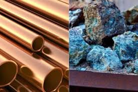 IMG_20260245_085624944