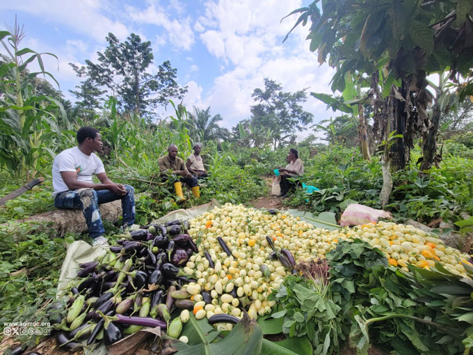 IMG_20260249_134415991