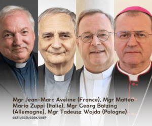 IMG_20260250_001609547