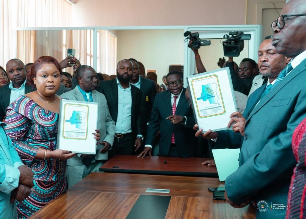 IMG_20260251_033401456