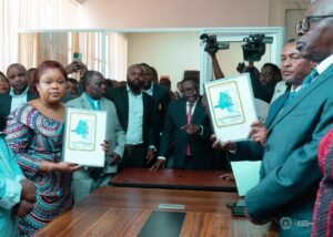 IMG_20260251_033401456