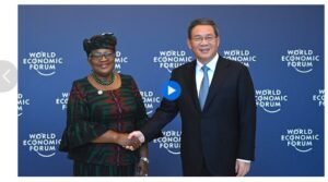 IMG_20260251_233558841