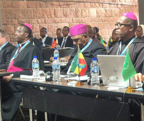 IMG_20260254_221813506