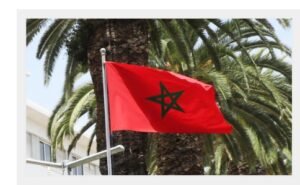 IMG_20260259_92516472