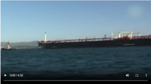 IMG_20260361_132640339