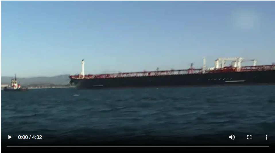 IMG_20260361_132640339