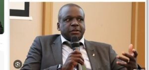 IMG_20260363_95040546