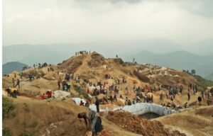 IMG_20260364_113922503