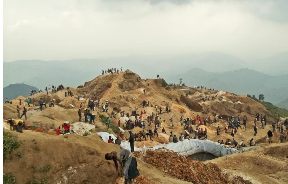 IMG_20260364_113922503